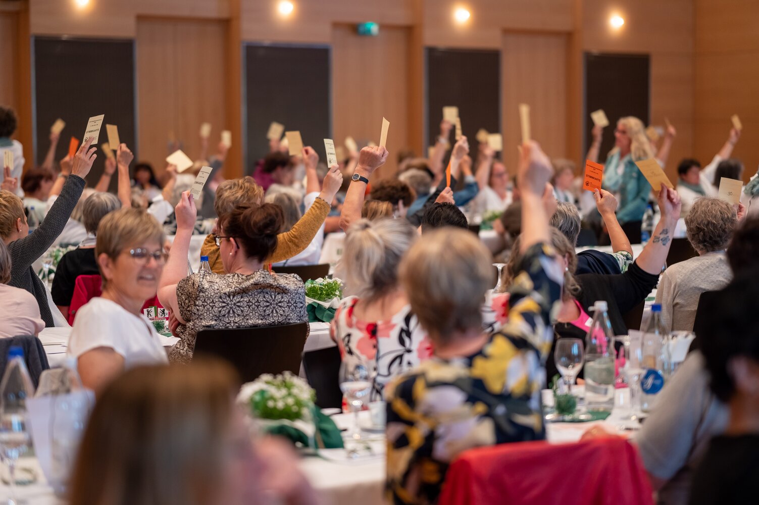 © Izedin Arnautovic