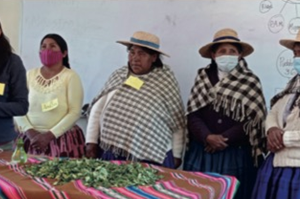 Kurs in Kräutermedizin zur Linderung von Atemwegserkrankungen im Zusammenhang mit Covid-19 bei den Uru-Frauen in Bolivien. Foto: Asociación Integral de Mujeres Artesanas, Turismo Agropecuario Urus Puñaca Tinta María