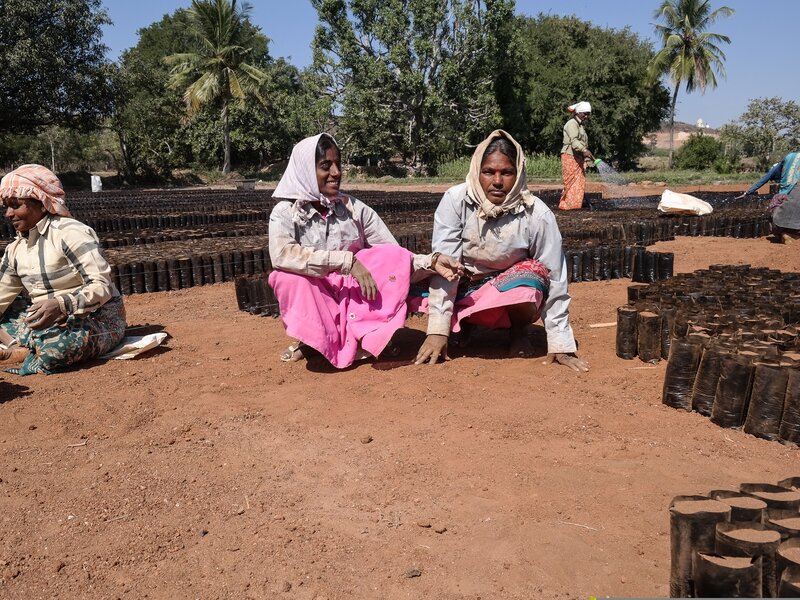 Projektreise 2015, Telangana: Frauen bei der landwirtschaftlichen Arbeit.