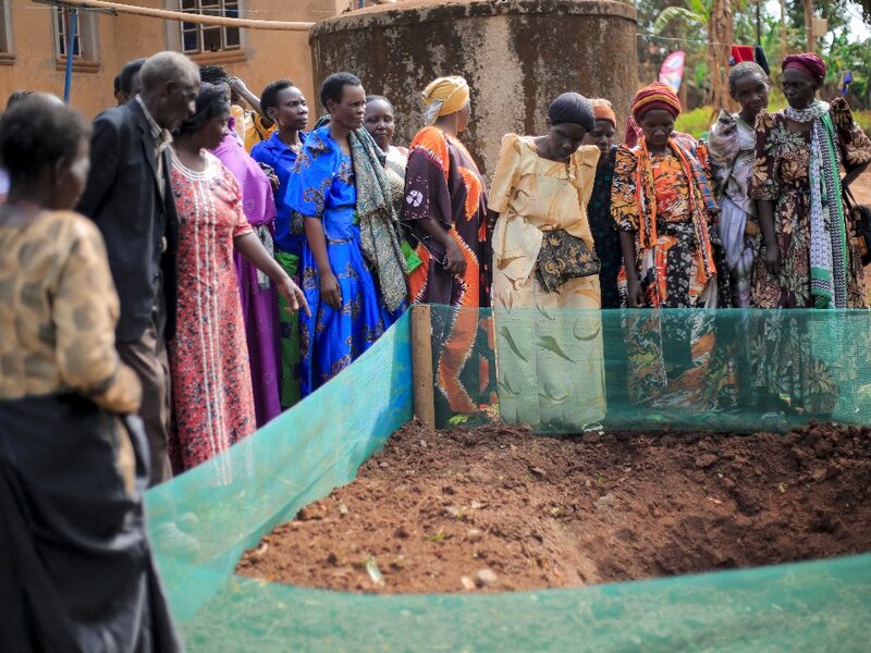 Schulung für Rentner:innen im Gemüseanbau für Haushaltsgärten.