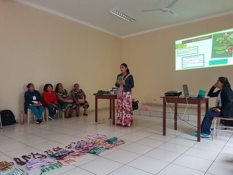 Tacanas - Projektleiterin Veronica präsentiert ihr Engagement